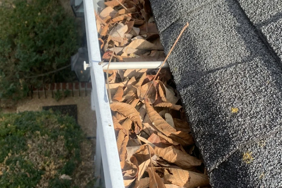 Gutter Cleaning LaBelle FL