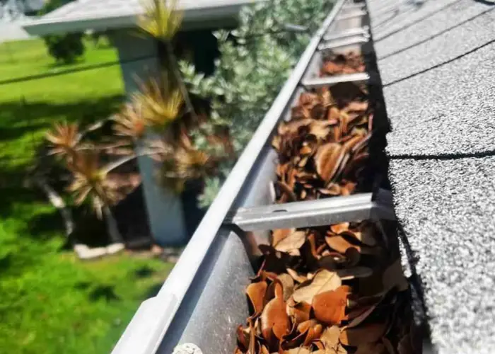 Gutter Cleaning LaBelle FL home page